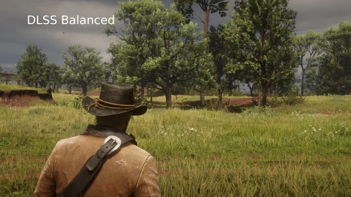 Red Dead Redemption 2 Screenshot 5.jpg