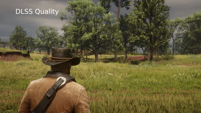 Red Dead Redemption 2 Screenshot 4.jpg