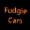 Profilbild av FudgieCars