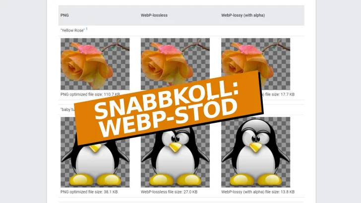 Snabbkoll: Har din webbläsare stöd för bildformatet Webp?