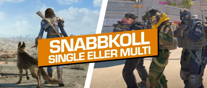 Snabbkoll: Singleplayer eller multiplayer?