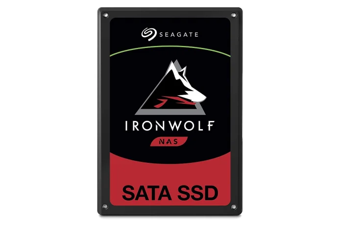 Ironwolf-110-SSD.jpg