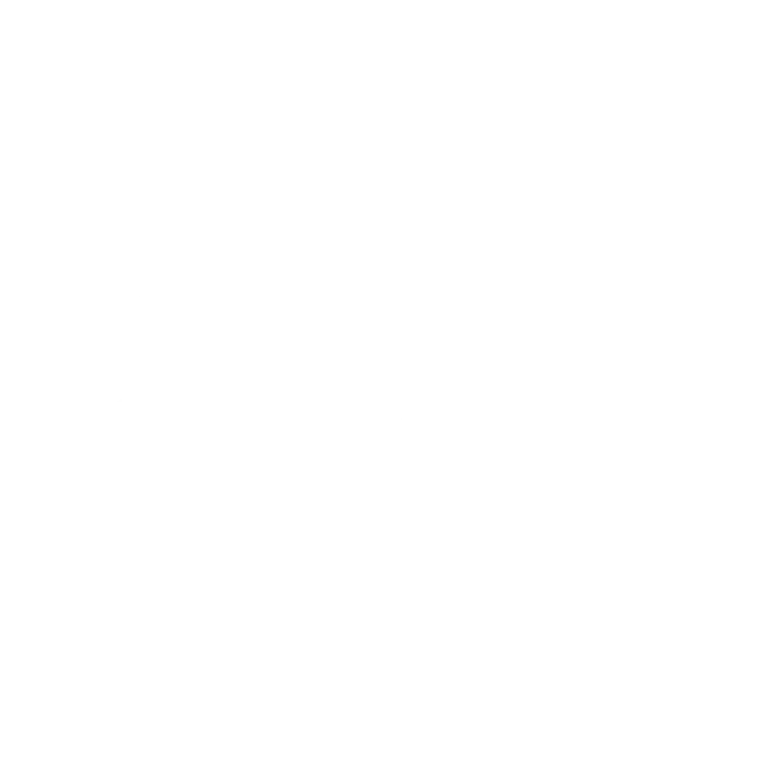 Fractal_Logo_White_Large.png