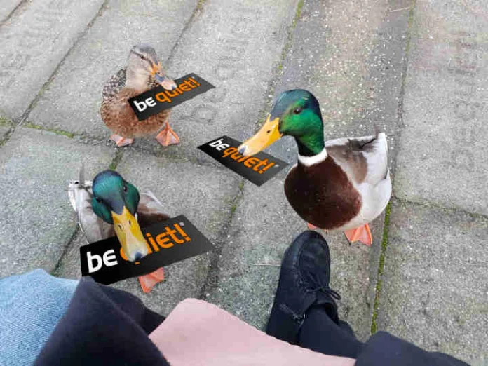 Ducks be quiet.jpg