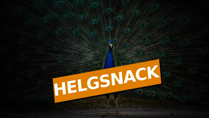 Helgsnack: Vilken är din största personliga triumf?