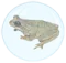 Profilbild av bubblefrog