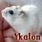 Profilbild av Ykalon