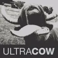 Profilbild av Ultracow