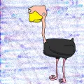 Profilbild av ostrichboy